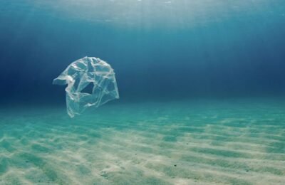 Meet Anna, the 11-year-old Activist Saving the Ocean!