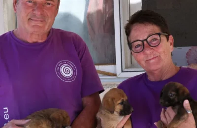 Project 25 – 17 Puppies A story of hope, loss, and commitment