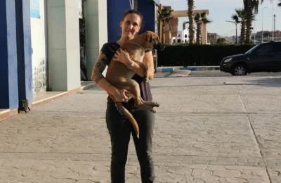 Project 12 – Puppy Project Areas: Hai El Nour and Aida