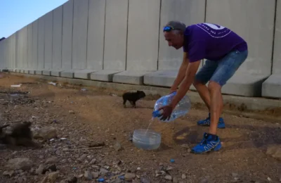 Water for Street Animals action